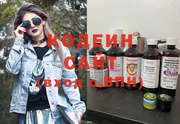 гашик Осташков