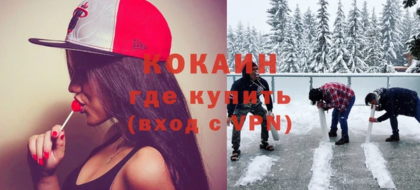 дживик Осинники