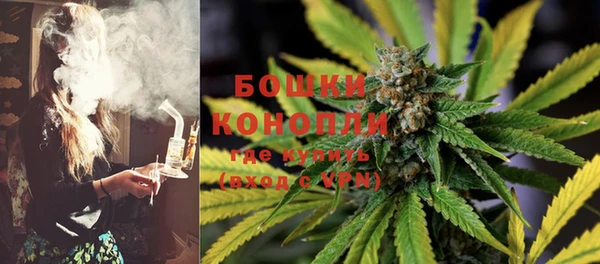 гашик Осташков