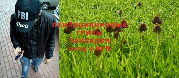 дживик Осинники