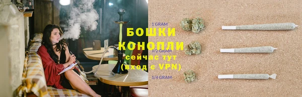 гашик Осташков